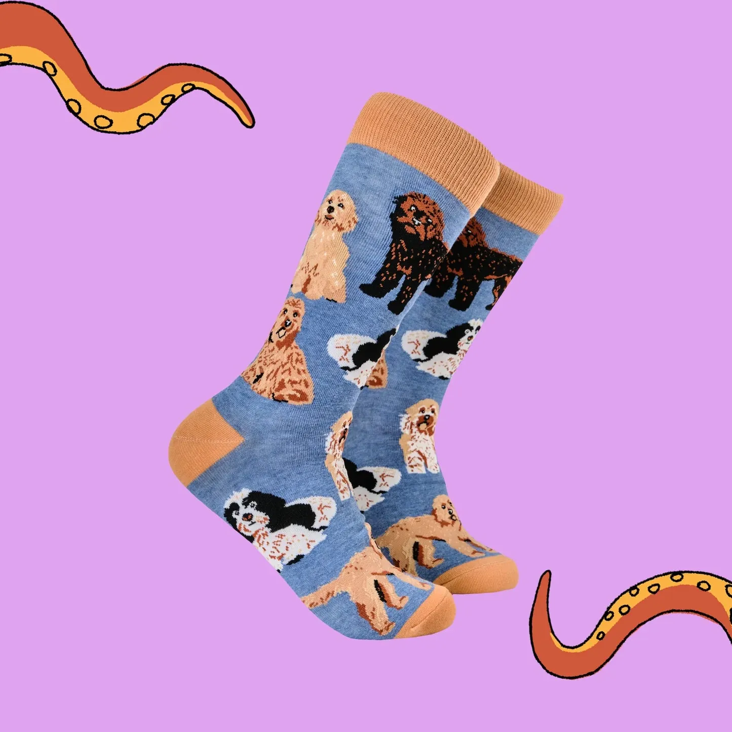 Cockapoodle-Doo Socks - Blue