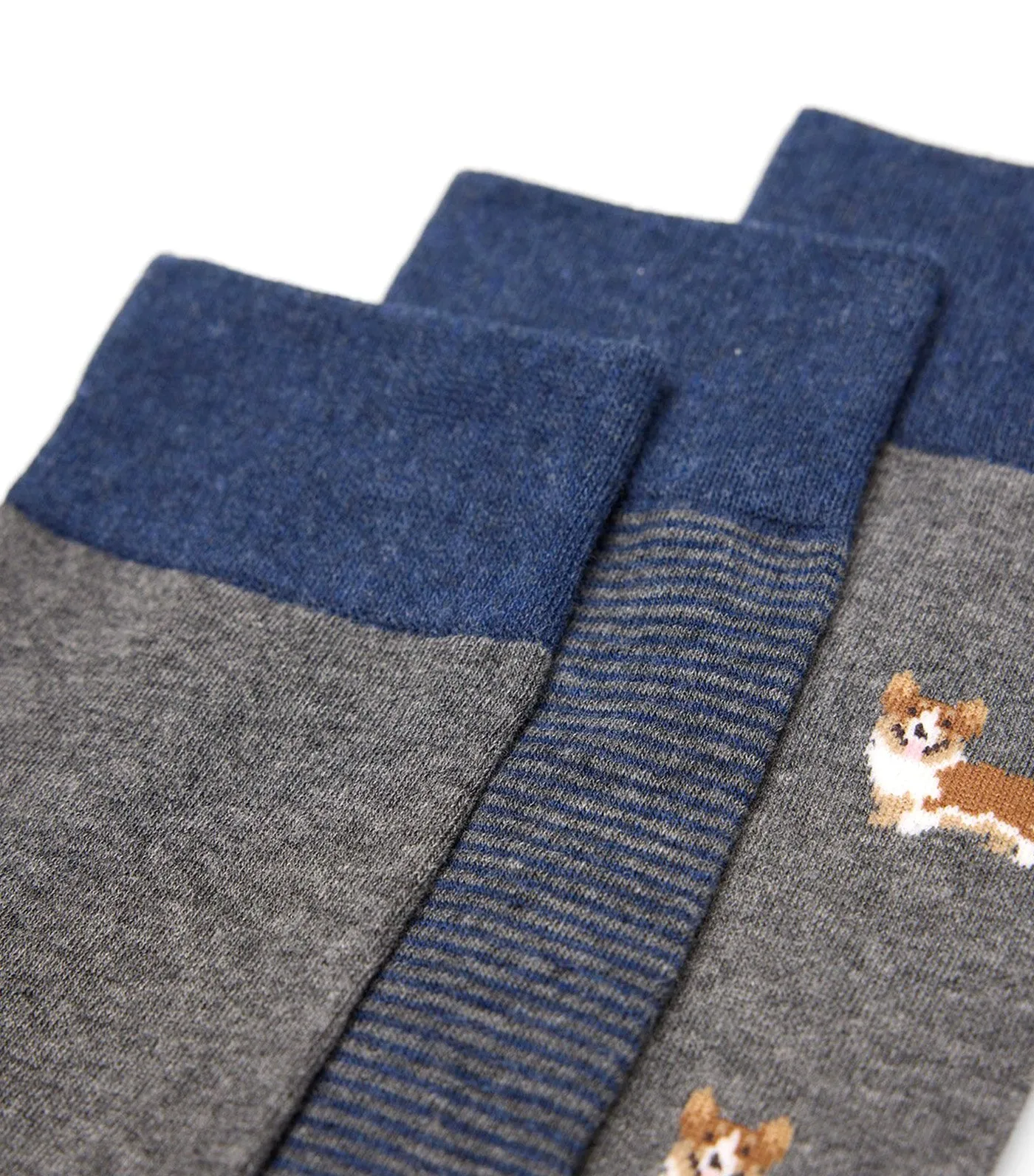 Pack of 3 Corgi Socks Dark Gray